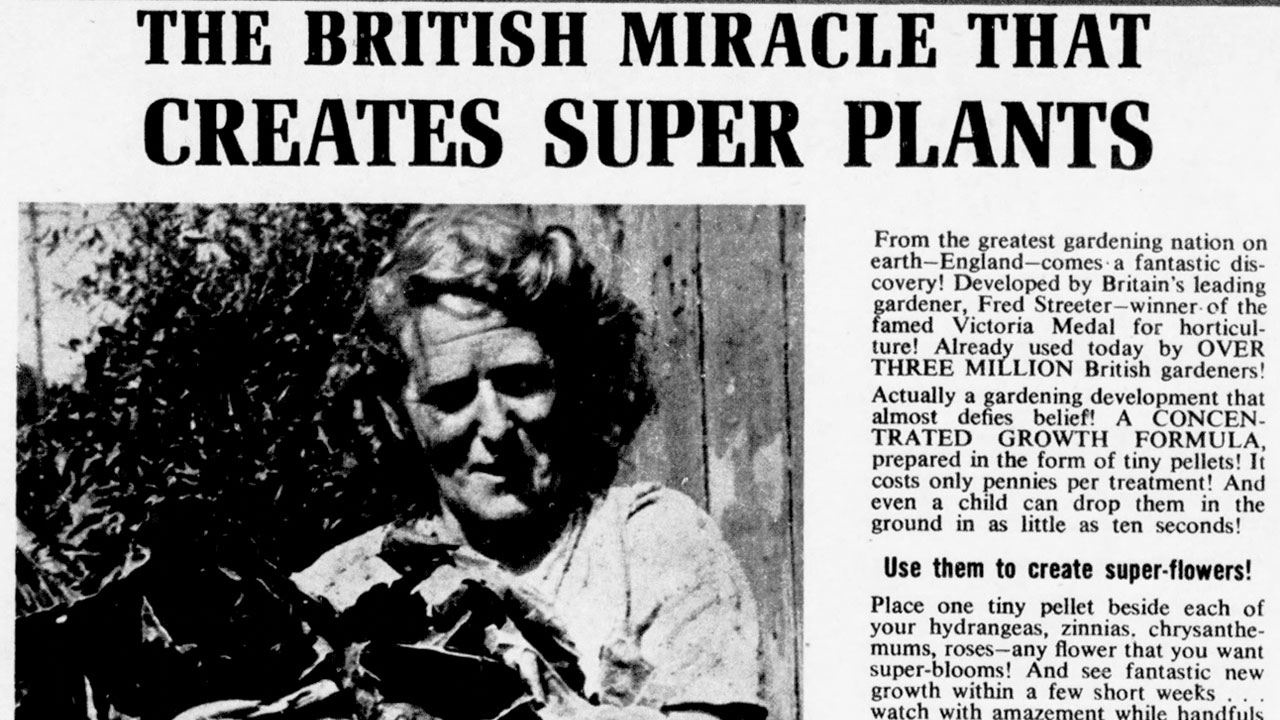 O Milagre Britânico Que Cria Super Plantas