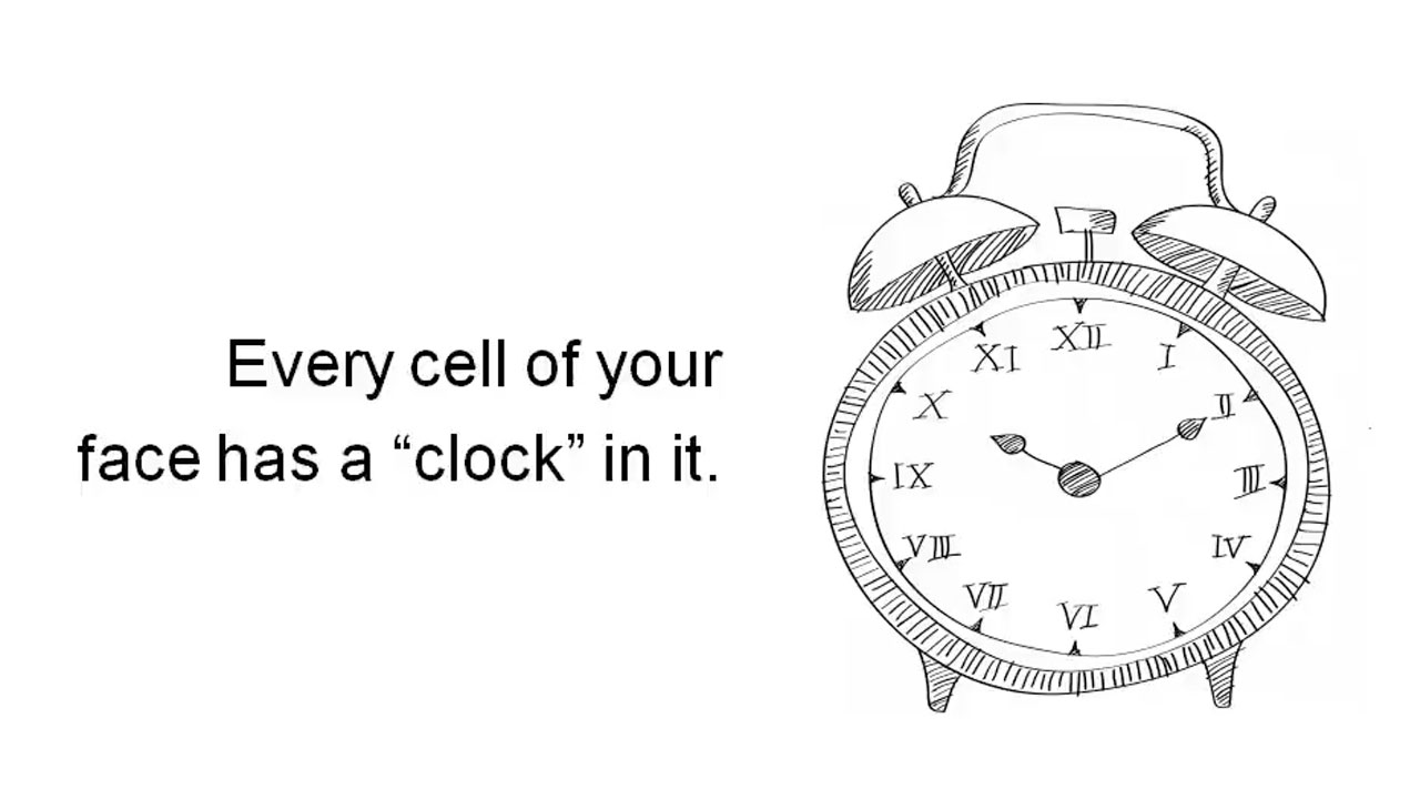 Cada célula do seu corpo tem um “relógio” nele