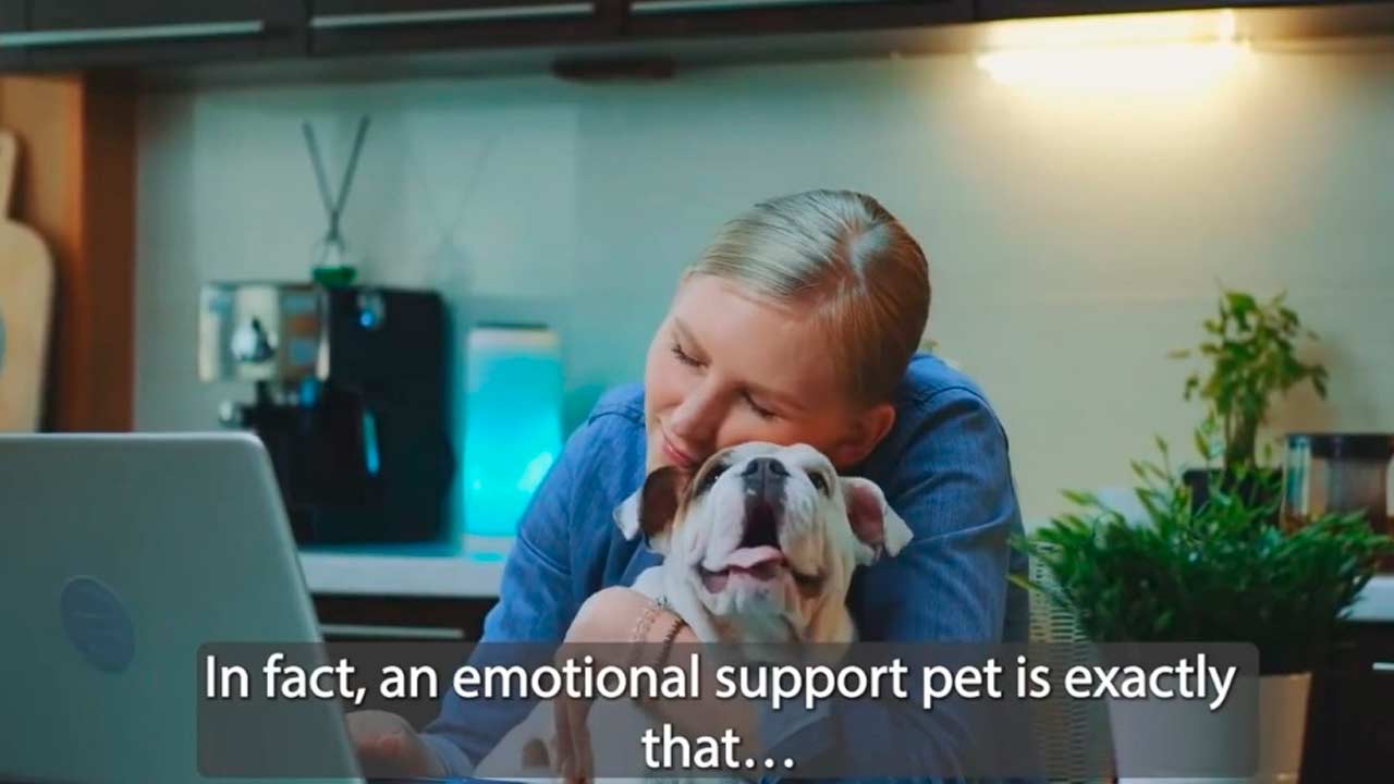 Qual é A Diferença Entre Um Animal de Serviço e Um Animal De Apoio Emocional?