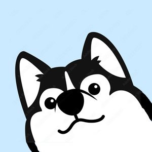 Copy do Dia 24 – 24/01/2024