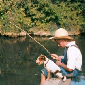 Copy do Dia 25 – 25/01/2024