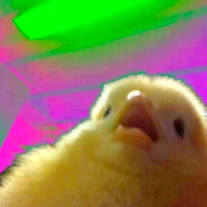 Copy do Dia – 05/01/2024