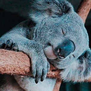 Copy do Dia – 06/01/2024