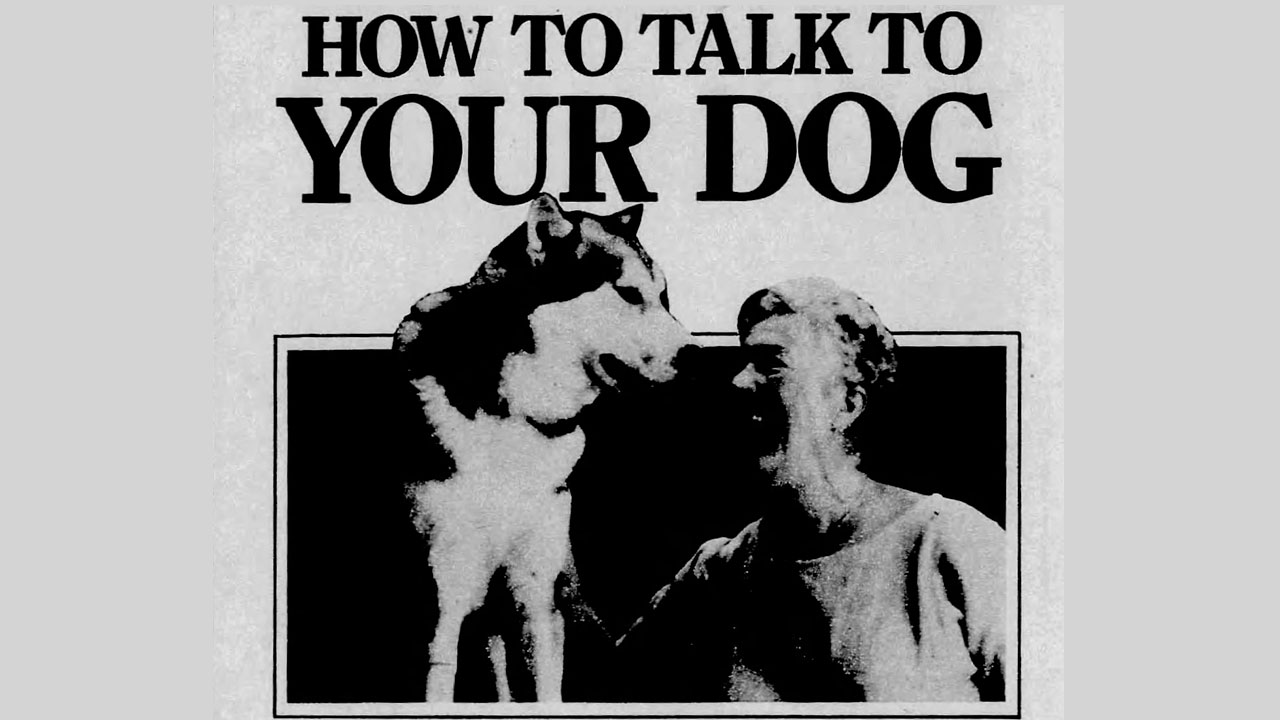 Como Falar Com Seu Cachorro