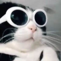 Copy do dia 03/01/2024