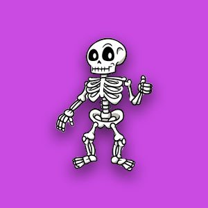 Copy do dia 42 – 11/02/2024