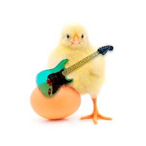 Copy do Dia 47 – 16/02/2024