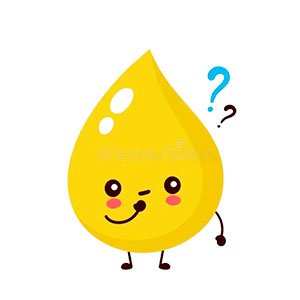 Copy do Dia 55 – 24/02/2024