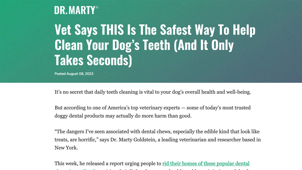 Essa É A Maneira Mais Segura De Ajudar A Limpar Os Dentes Do Seu Cachorro