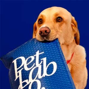 Copy do Dia 79 – 09/04/2024